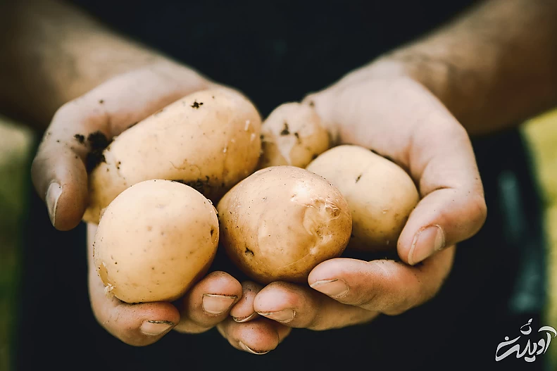 پوکی استخوان